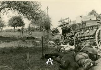 Convoi d’artillerie renversé près d’une prairie et cadavres de chevaux, probablement sur la route de Brunehamel à Mont-Saint-Jean, mai 1940. © Arch. dép. Aisne, 2 Fi 1158