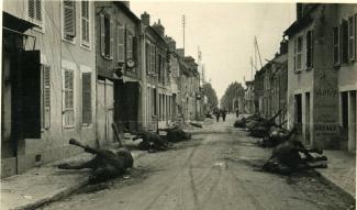 Cadavres de chevaux dans une rue bordée de maisons à Hirson ©Arch. dép. Aisne 2 Fi 1115