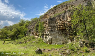 Paroi calcaire à Œuilly