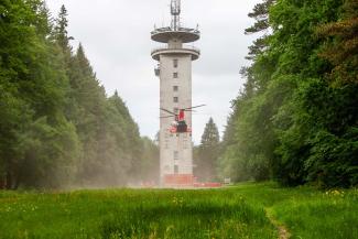 Exercice feu de forêt 