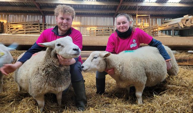 Théo et Marie avec leur moutons