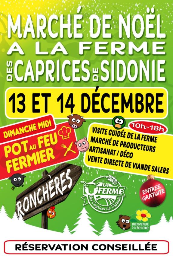 AFFICHE-MARCHE-DE-NOEL-768x1141
