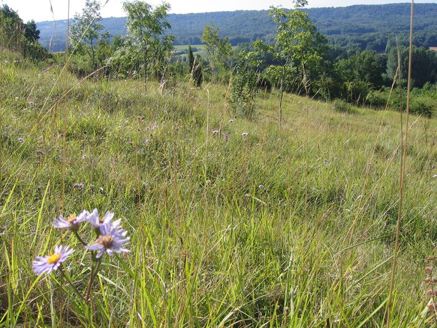 Sortie nature 2024 < Chevregny < Aisne < Hauts-de-France