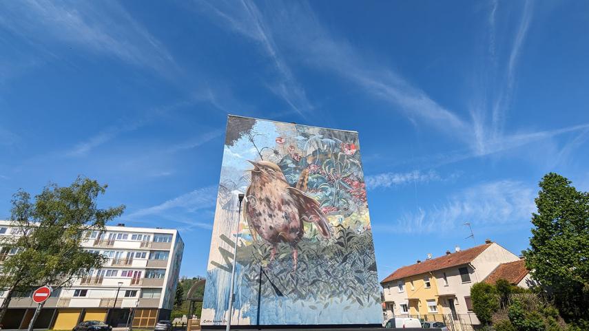 Fresque street art Collin Van der Sluijs < Laon < Aisne < Picardie