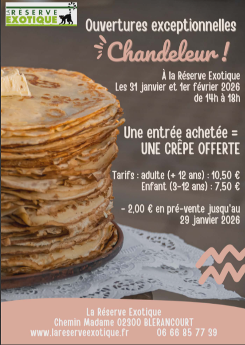 Capture d'écran 2026-01-20 153642