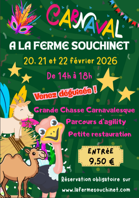 Capture d'écran 2026-02-10 163648