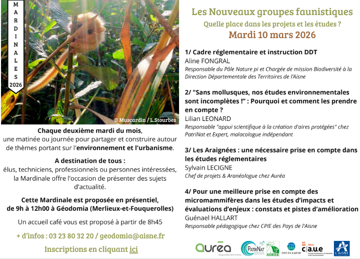 Capture d'écran 2026-03-04 091911