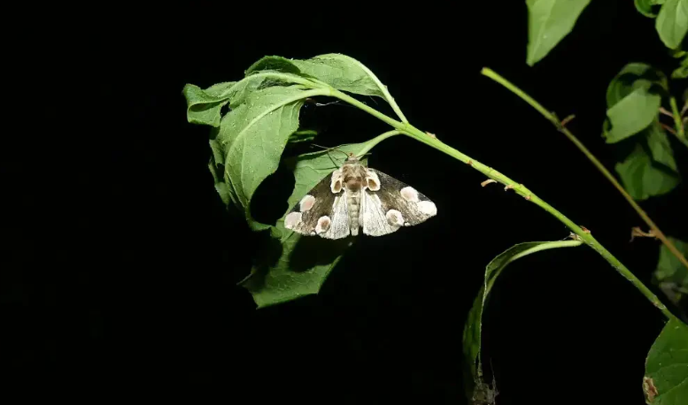 Capture d'écran 2026-03-06 132637