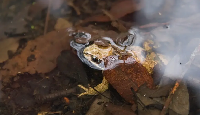 Capture d'écran 2026-03-06 133532