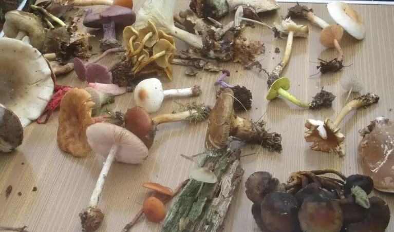 Capture d'écran 2026-03-06 135237