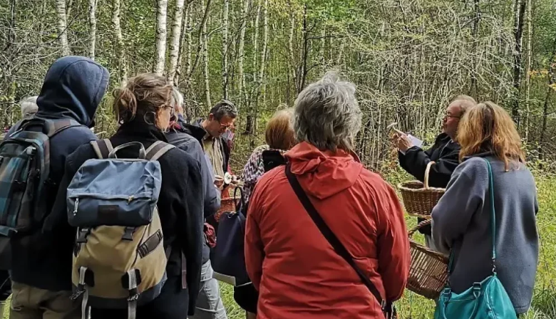 Capture d'écran 2026-03-06 135645