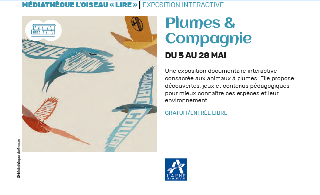 Capture d'écran 2026-07-08 155749