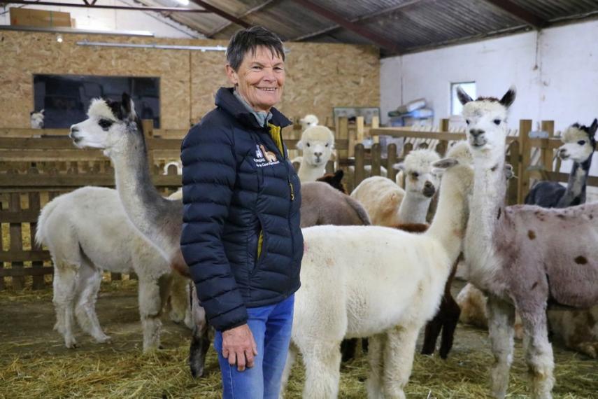 Alpagas < Sommeron < Thiérache < Aisne < Hauts-de-France