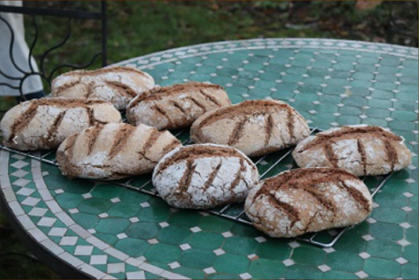 Jardin d'Hélène Proisy < Thiérache < Aisne < Hauts-de-France