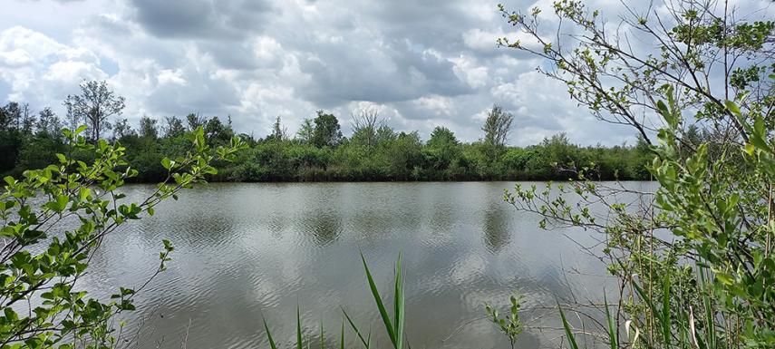 Sortie nature libellules < Liesse-Notre-Dame < Aisne < Hauts-de-France