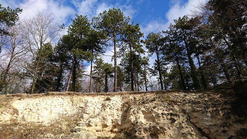 Plateau de Californie < Craonne < Aisne < hauts-de-France