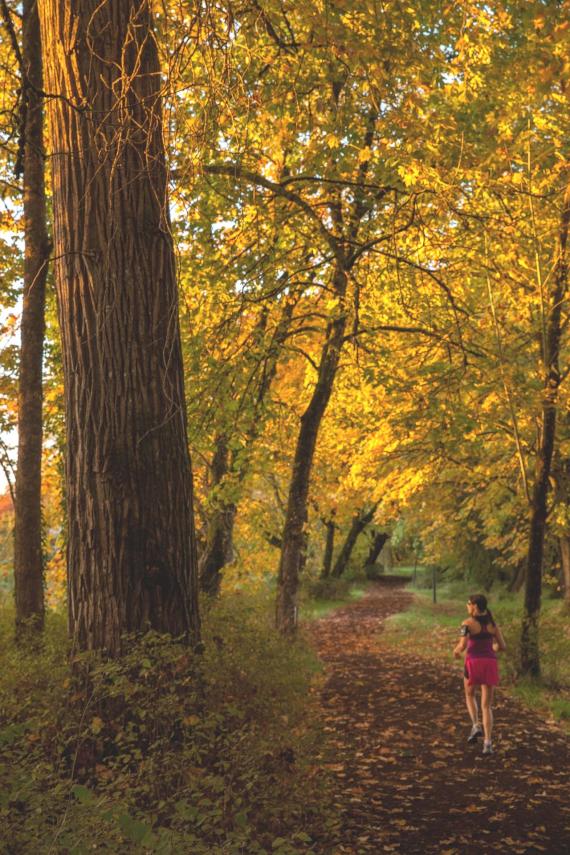Trail automne © Pixabay