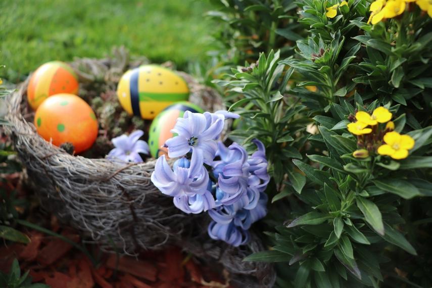 Atelier floral II < Bouconville-Vauclair < Aisne < Picardie