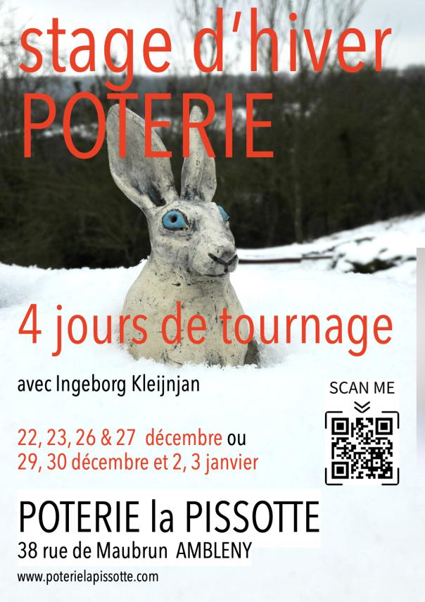 affiche stage hiver 2025.1