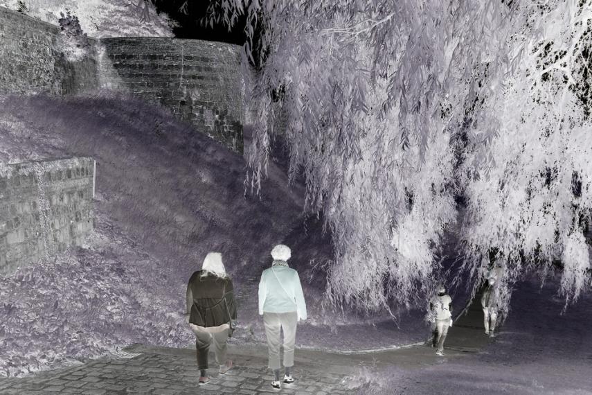 Course Nocturne < Vervins < Thiérache < Aisne < Hauts de France