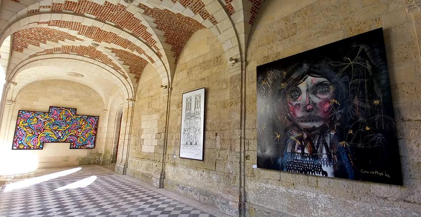 Exposition street art 2023 < Laon < Aisne < Hauts-de-France
