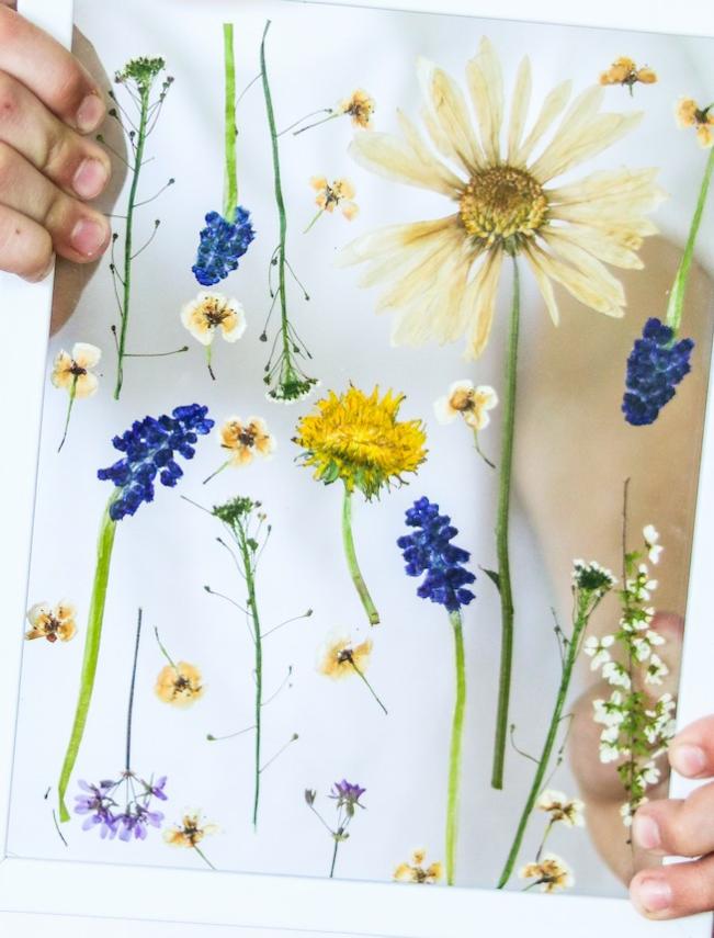 tableau fleurs séchées