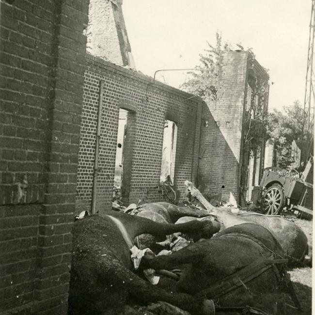 Cadavres de chevaux et cuisine roulante abandonnée probablement à l’entrée de Brunehamel, mai 1940. © Arch. dép. Aisne, 2 Fi 1159